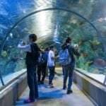 Emaar Aquarium