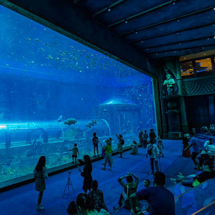 The Sea Shell Aquarium - Vietnam - ADEC LSS