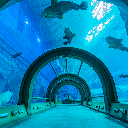 The Sea Shell Aquarium - Vietnam - ADEC LSS