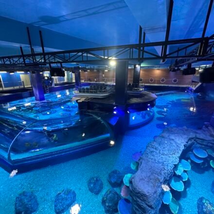 Indonesia BX Sea Aquarium