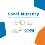 ADEC was awarded a Turnkey Contract for Coral Nursery LSS for the KAUST Coral Restoration Initiative (KCRI)